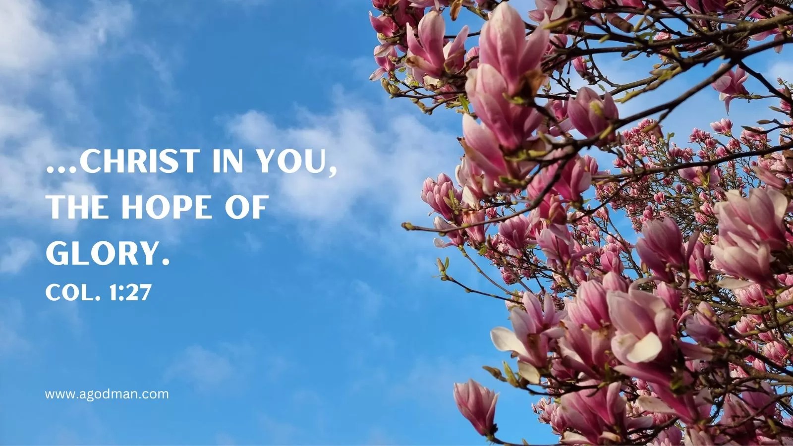 ...Christ in you, the hope of glory. Col. 1:27