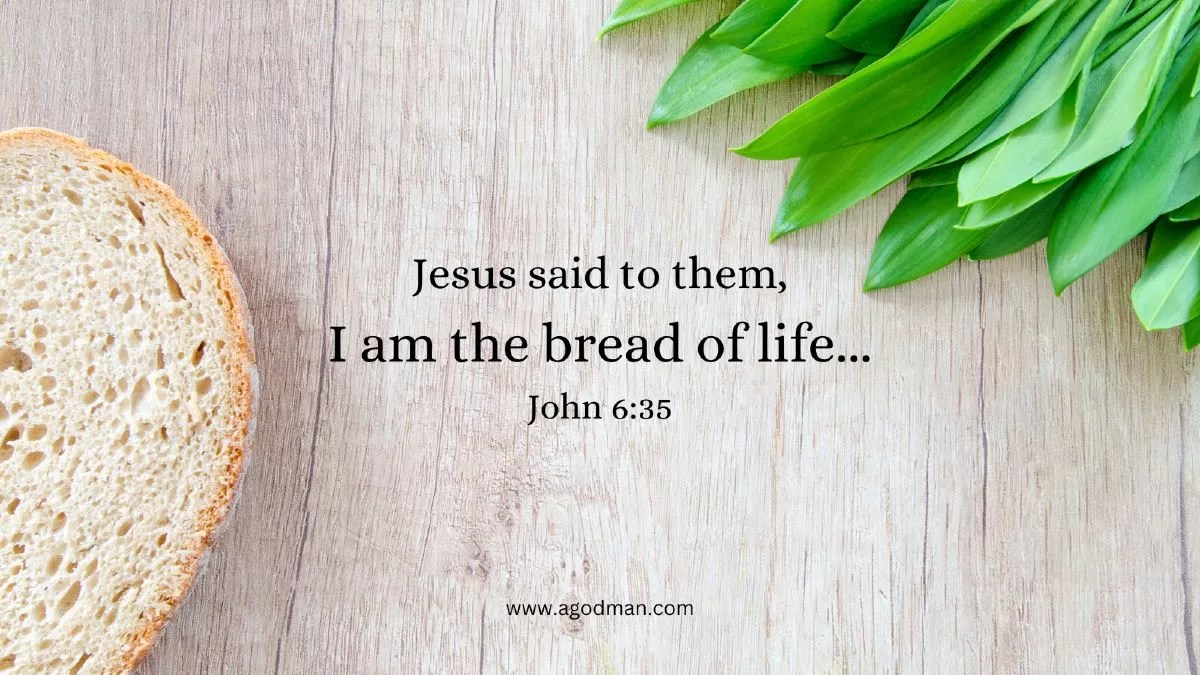 Jesus said to them, I am the bread of life... John 6:35