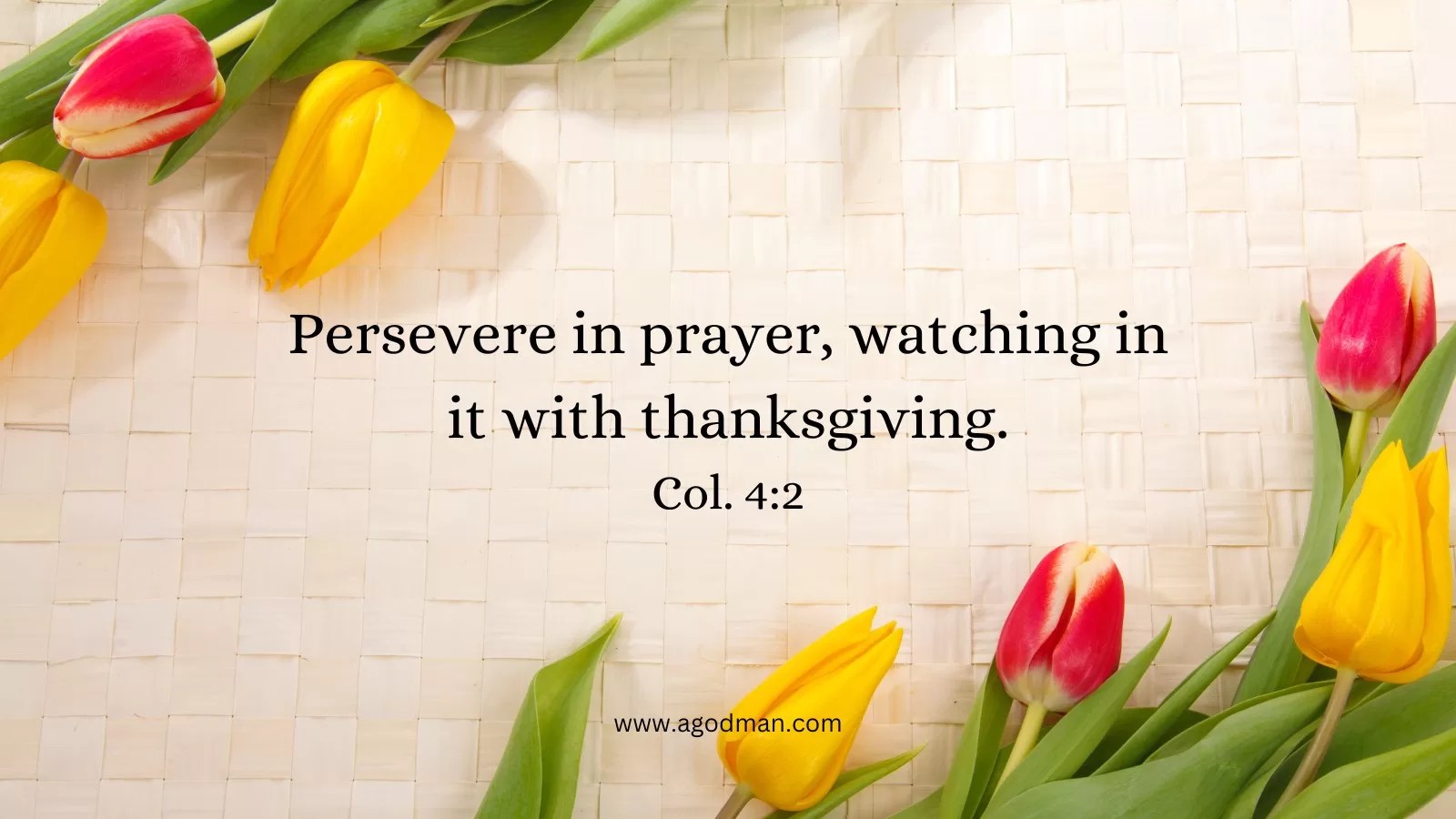 Persevere in prayer, watching in it with thanksgiving. Col. 4:2