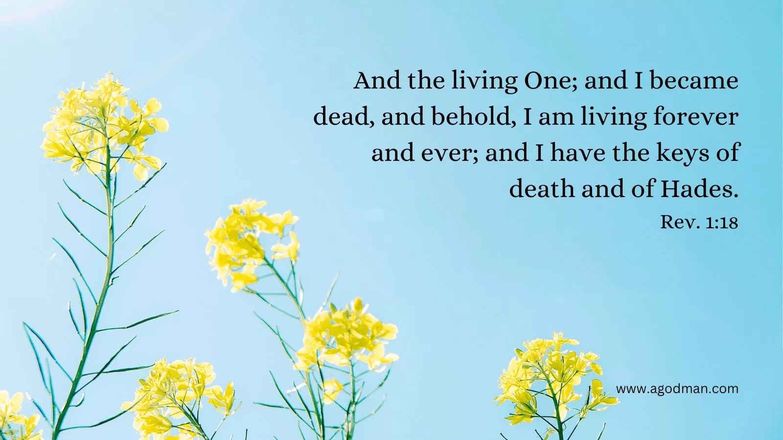 And the living One; and I became dead, and behold, I am living forever and ever; and I have the keys of death and of Hades. Rev. 1:18