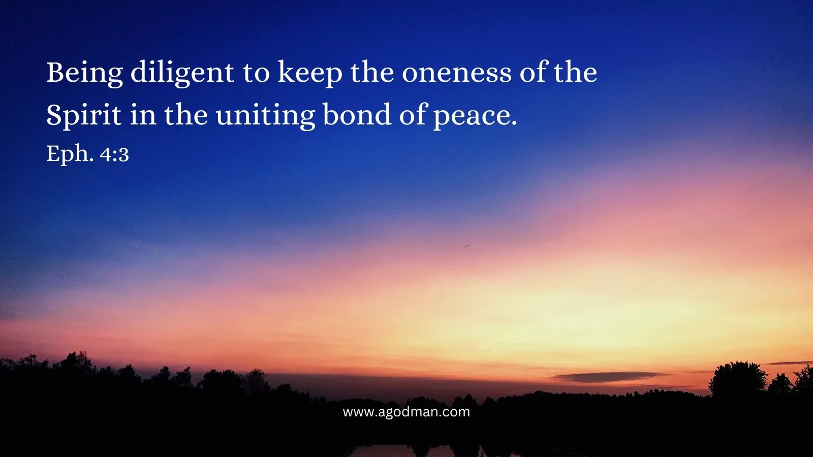 Being diligent to keep the oneness of the Spirit in the uniting bond of peace. Eph. 4:3