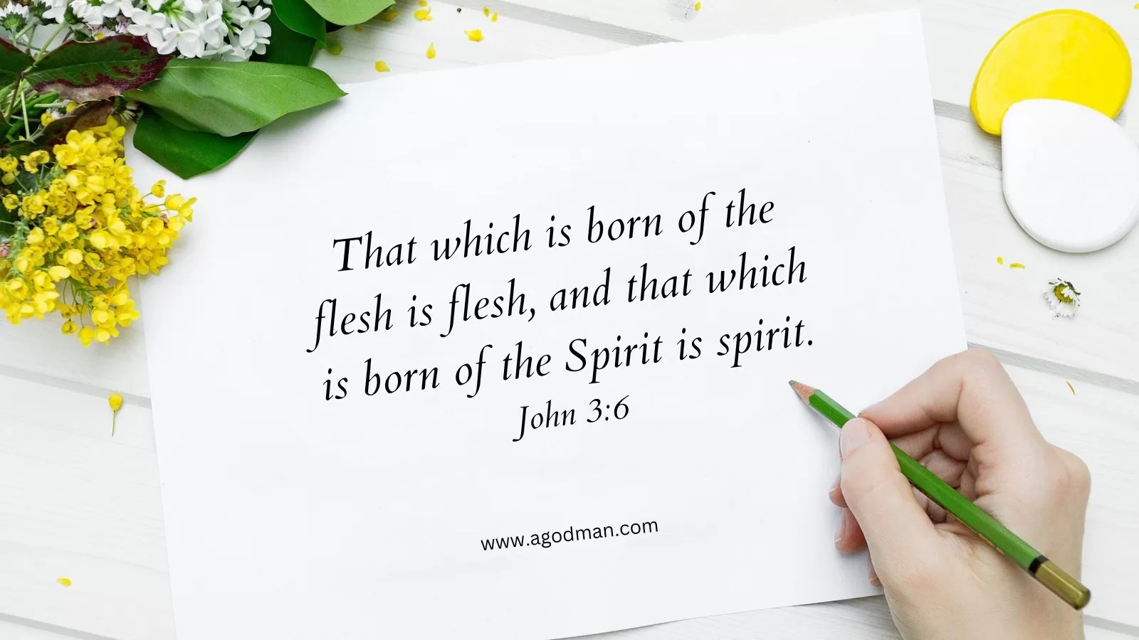 That which is born of the flesh is flesh, and that which is born of the Spirit is spirit. John 3:6