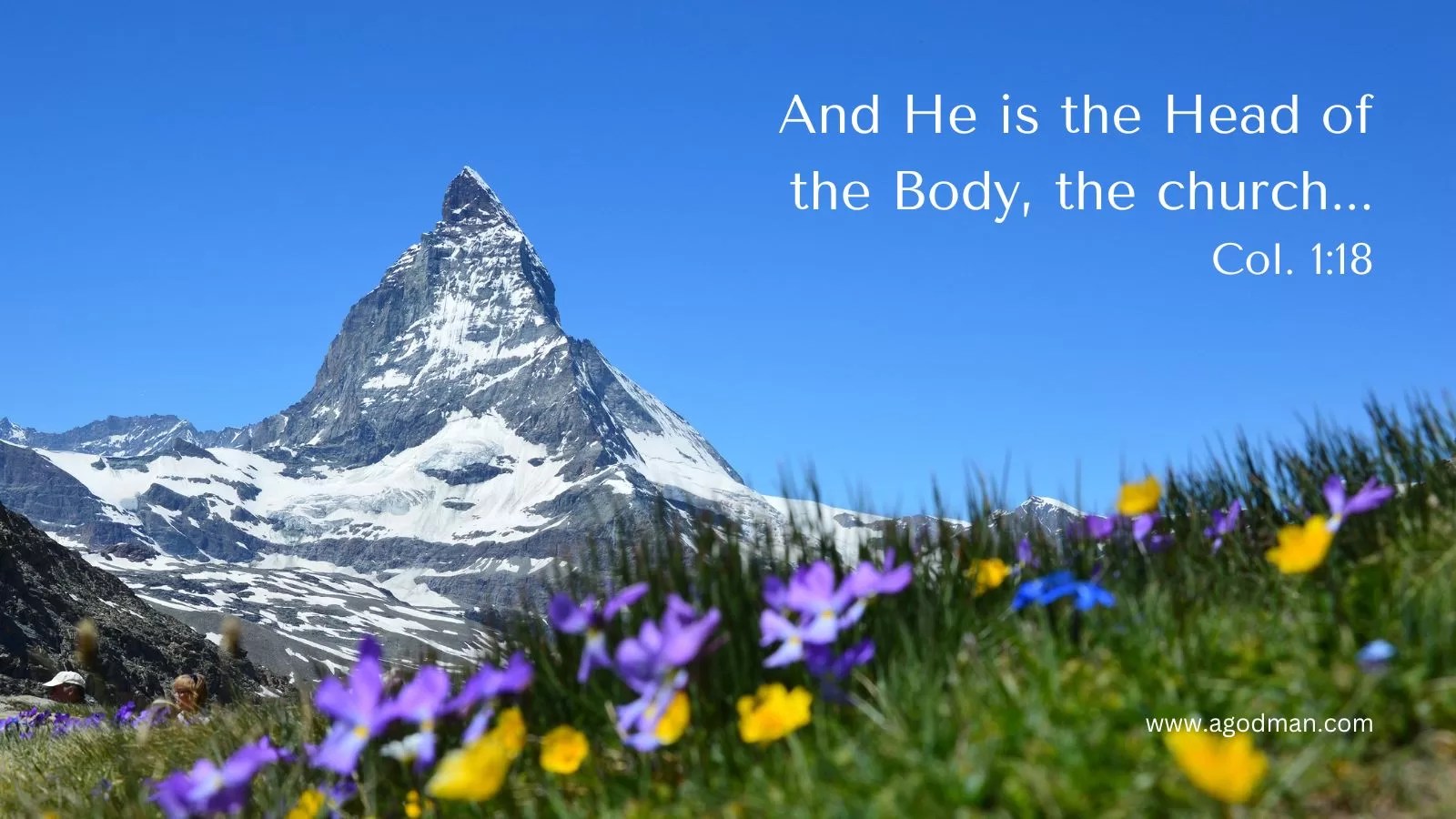 And He is the Head of the Body, the church... Col. 1:18