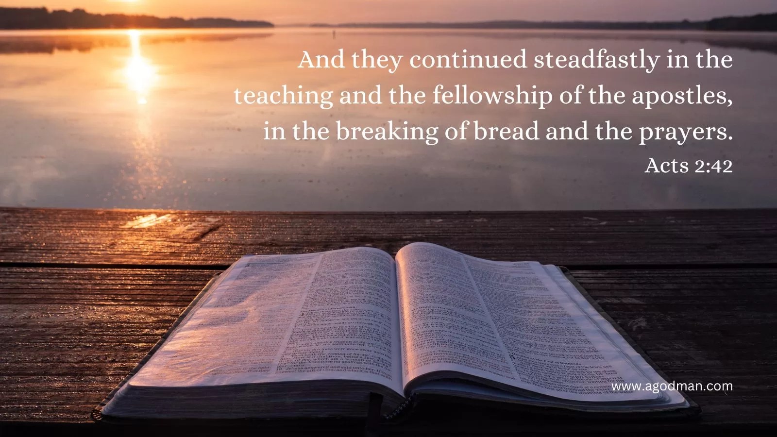 And they continued steadfastly in the teaching and the fellowship of the apostles, in the breaking of bread and the prayers. Acts 2:42