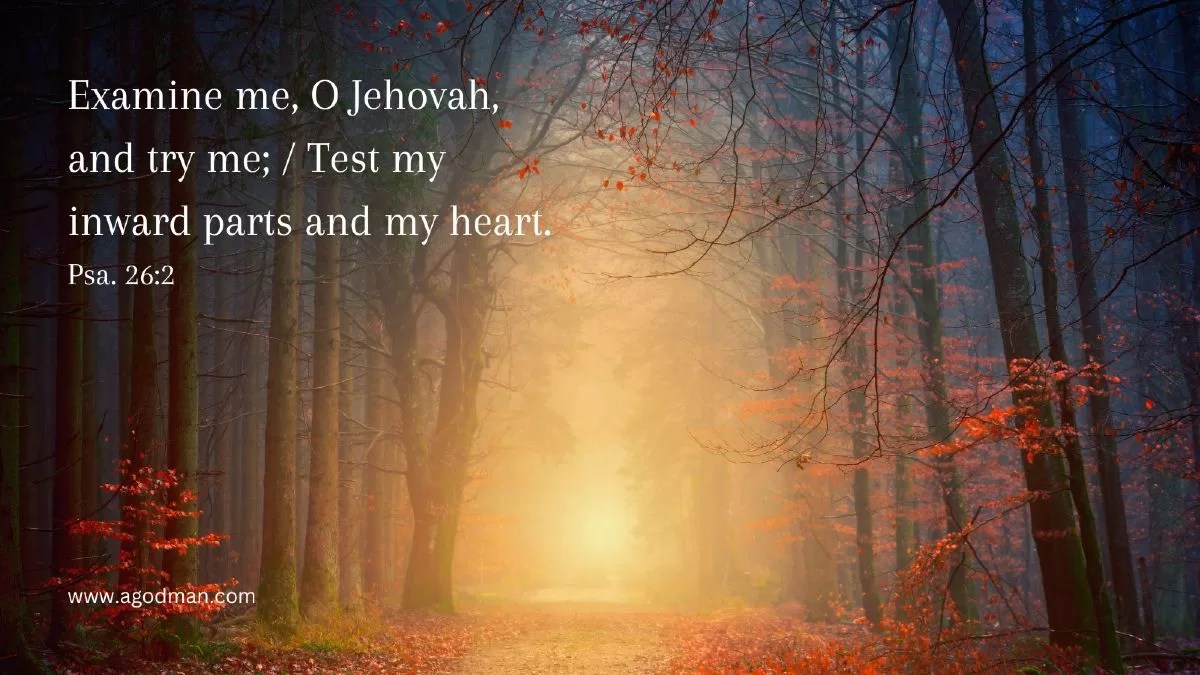 Examine me, O Jehovah, and try me; / Test my inward parts and my heart. Psa. 26:2