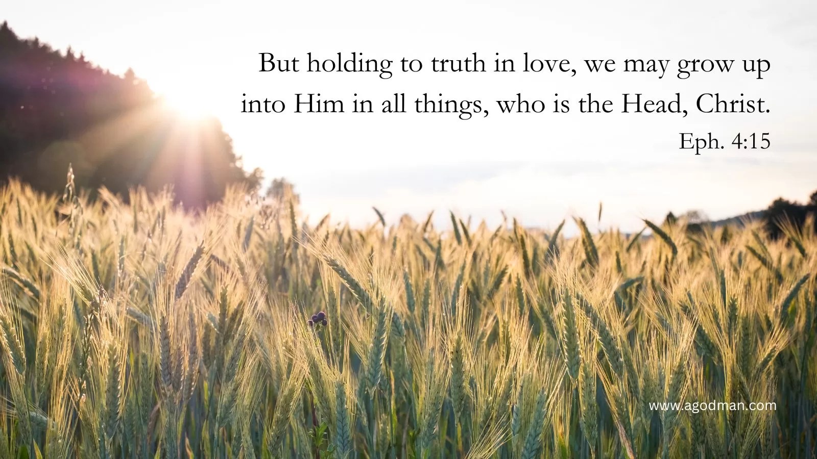 But holding to truth in love, we may grow up into Him in all things, who is the Head, Christ. Eph. 4:15