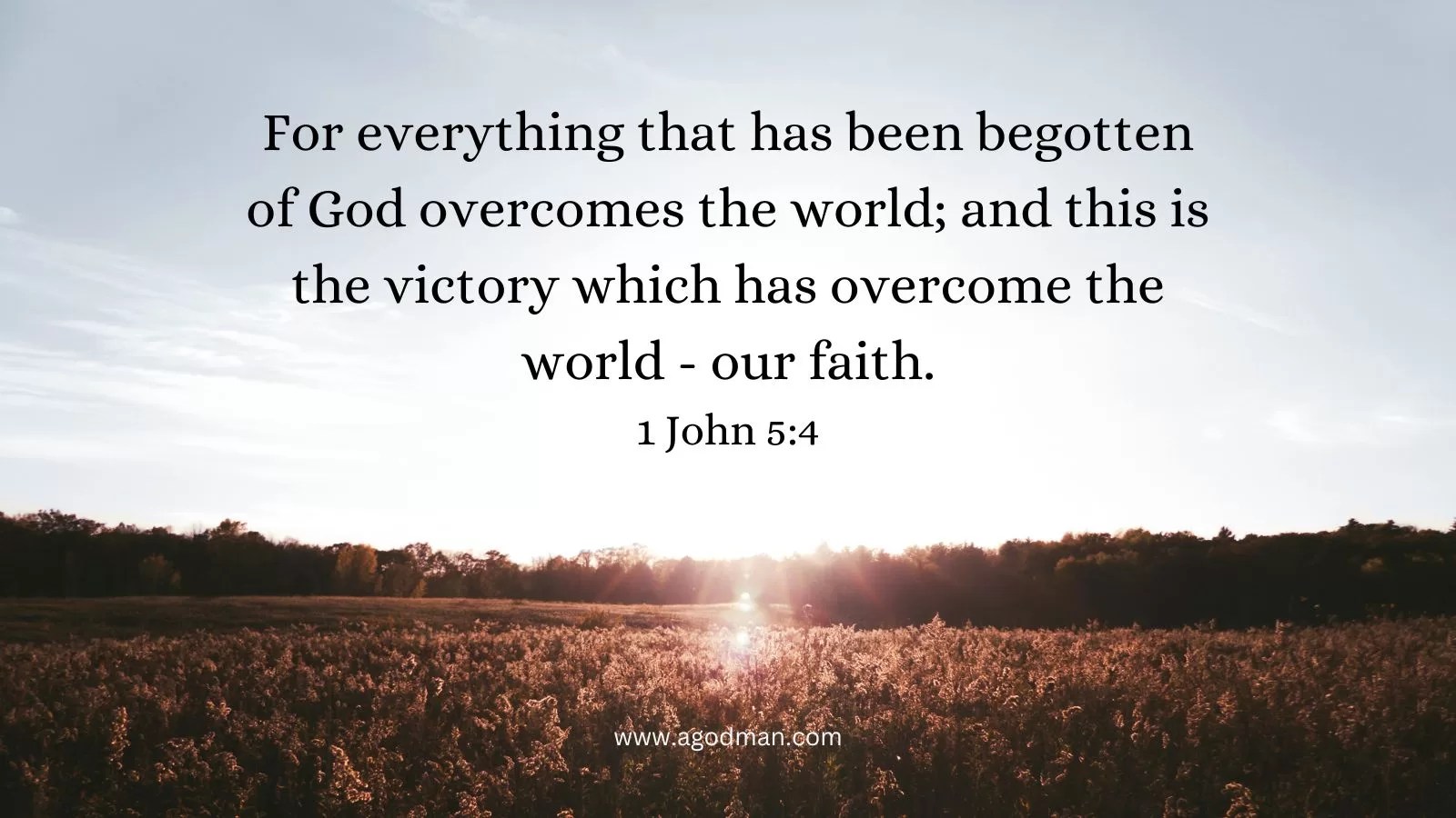 For everything that has been begotten of God overcomes the world; and this is the victory which has overcome the world - our faith. 1 John 5:4