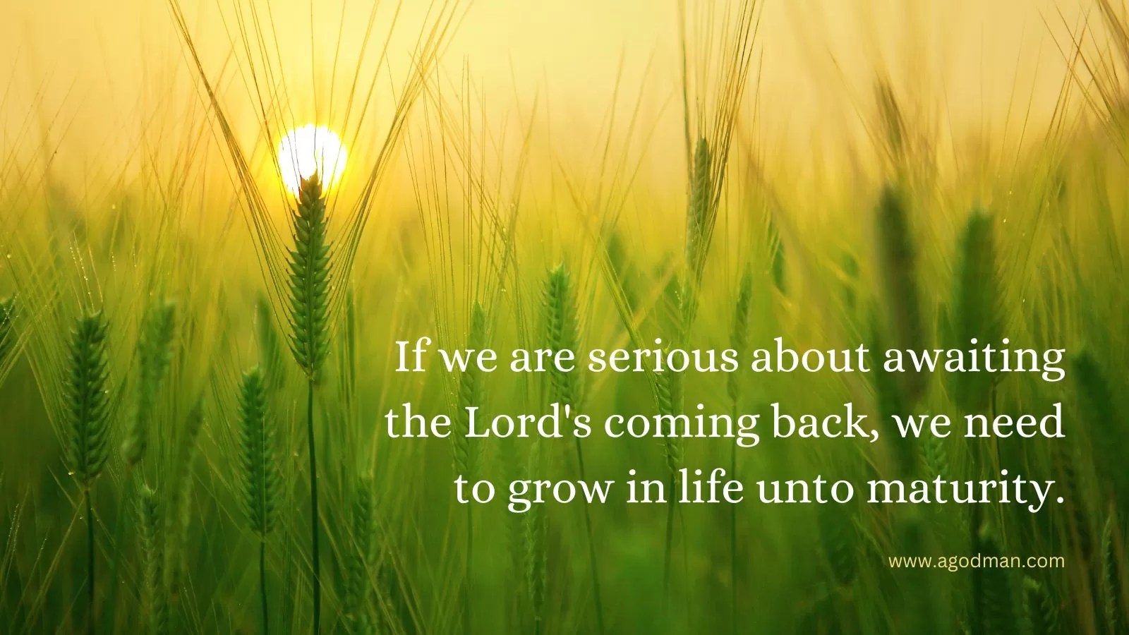 If we are serious about awaiting the Lord's coming back, we need to grow in life unto maturity.