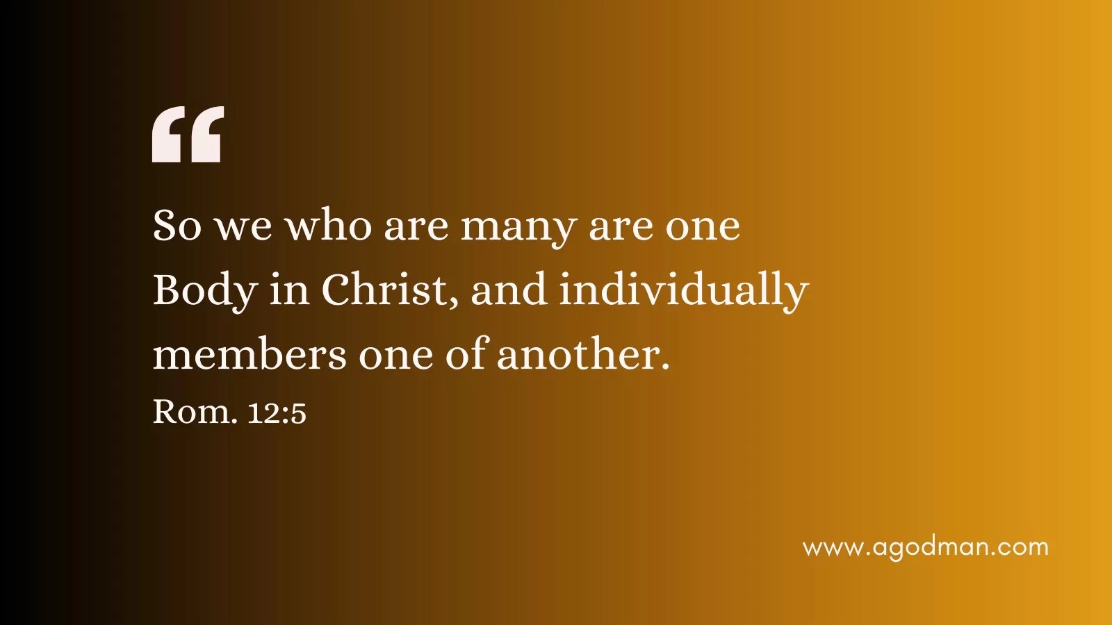 So we who are many are one Body in Christ, and individually members one of another. Rom. 12:5