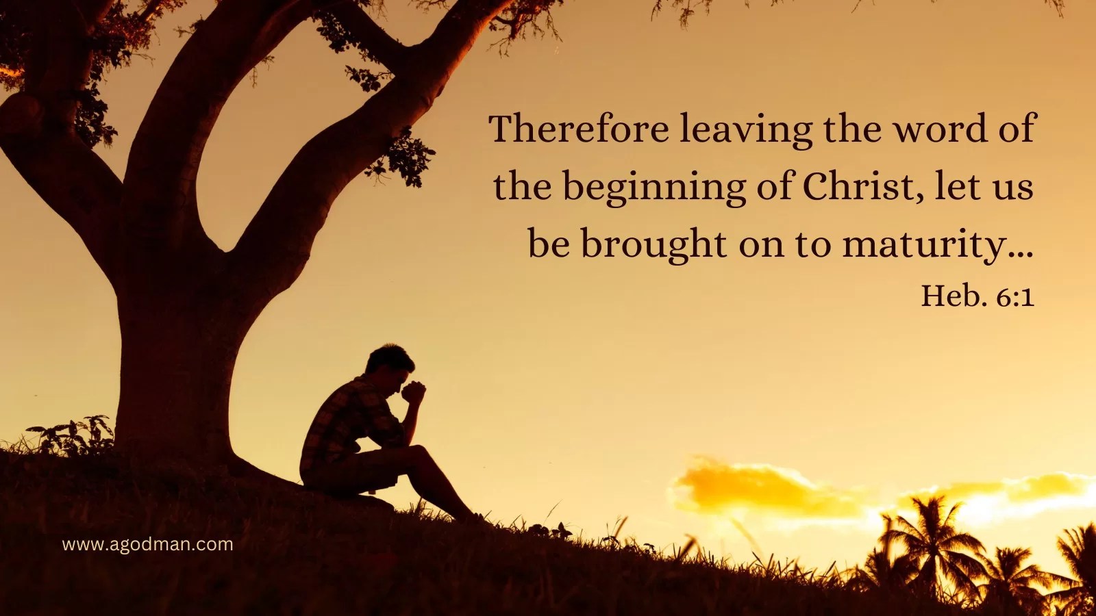 Therefore leaving the word of the beginning of Christ, let us be brought on to maturity... Heb. 6:1