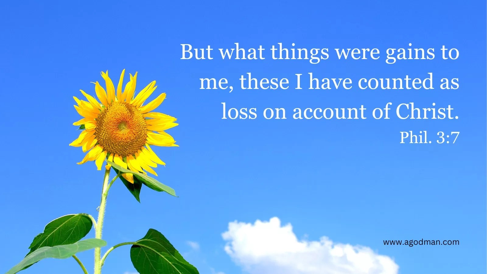 But what things were gains to me, these I have counted as loss on account of Christ. Phil. 3:7