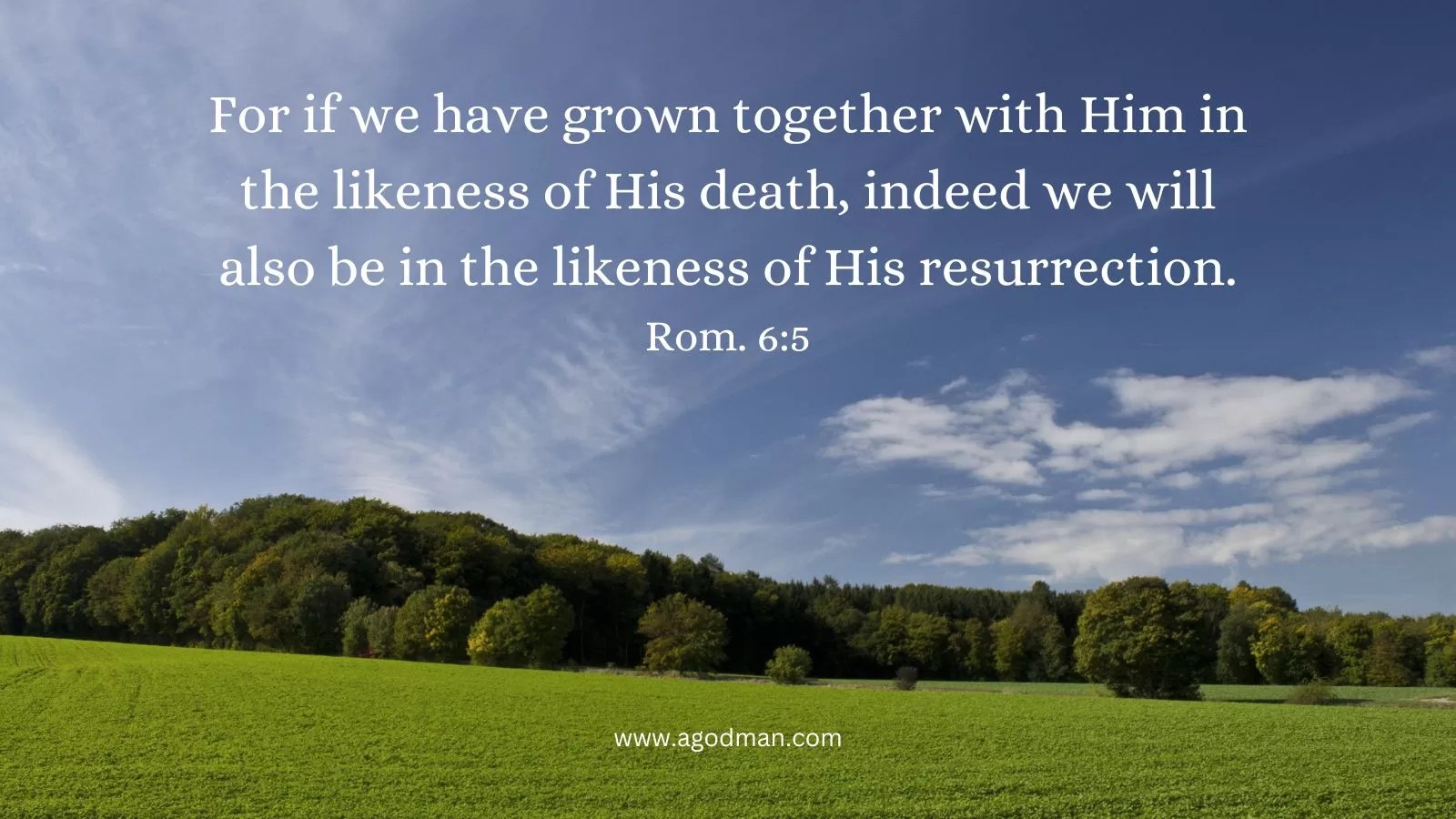 For if we have grown together with Him in the likeness of His death, indeed we will also be in the likeness of His resurrection. Rom. 6:5