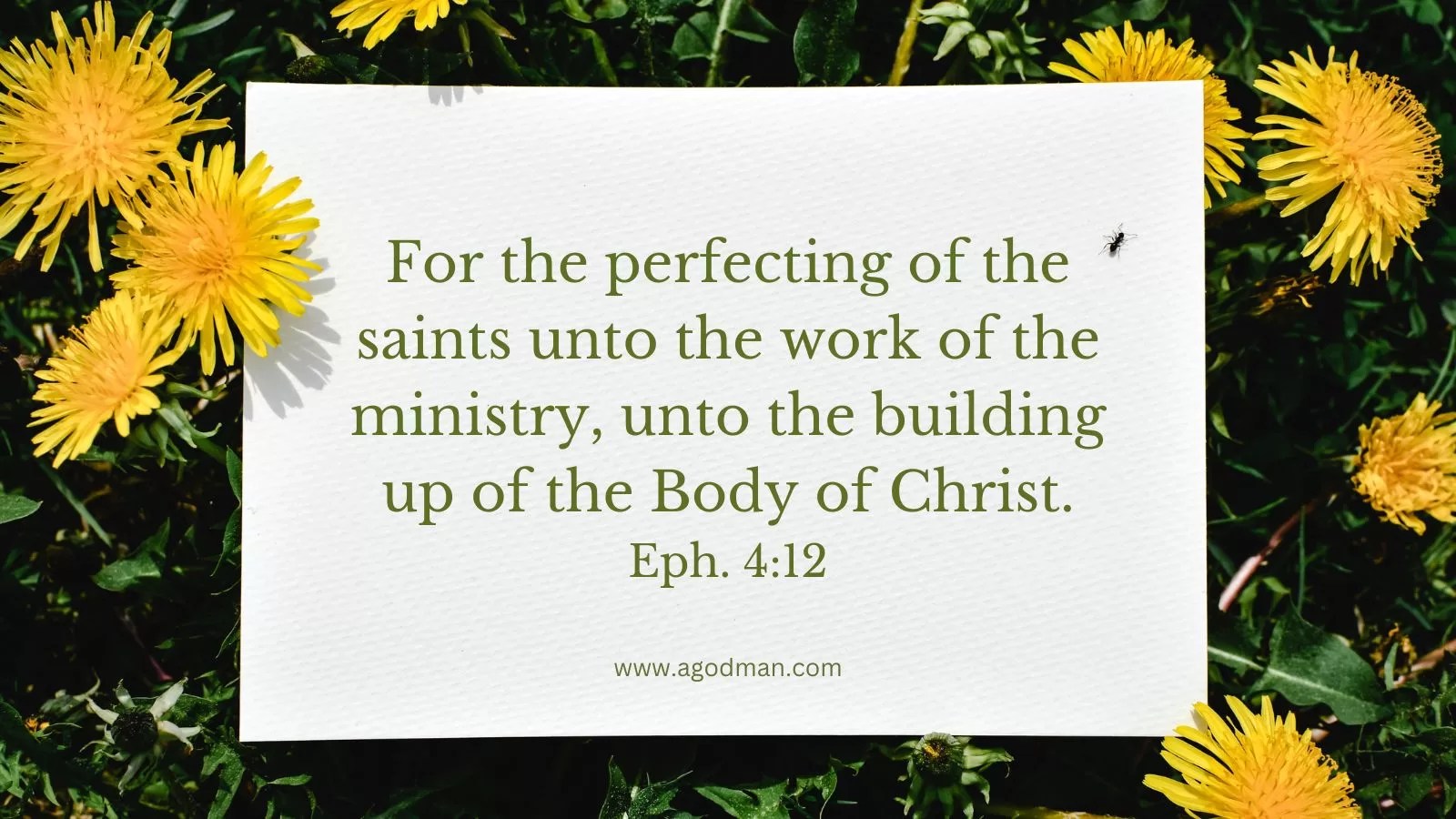 For the perfecting of the saints unto the work of the ministry, unto the building up of the Body of Christ. Eph. 4:12