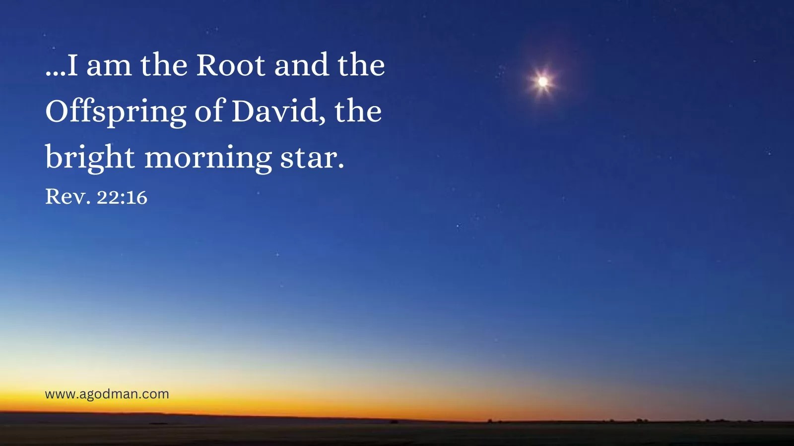 ...I am the Root and the Offspring of David, the bright morning star. Rev. 22:16