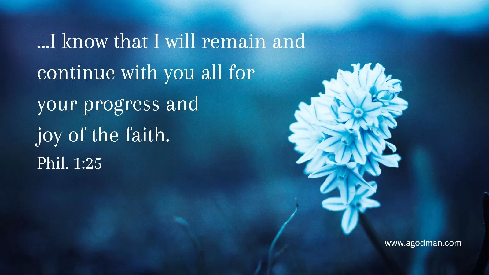 ...I know that I will remain and continue with you all for your progress and joy of the faith. Phil. 1:25