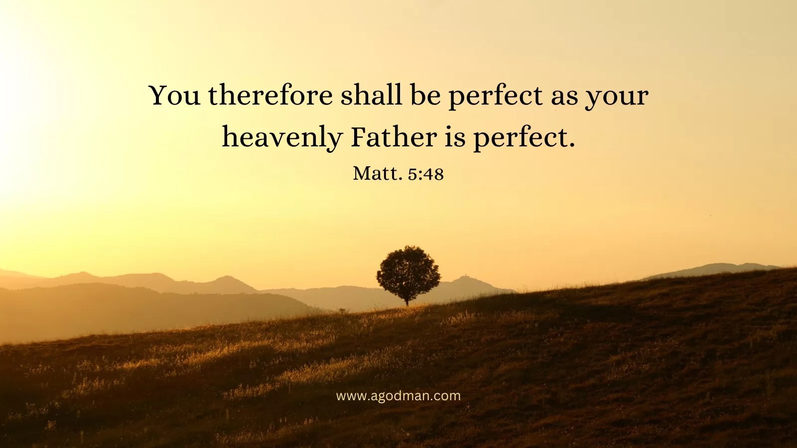 You therefore shall be perfect as your heavenly Father is perfect. Matt. 5:48