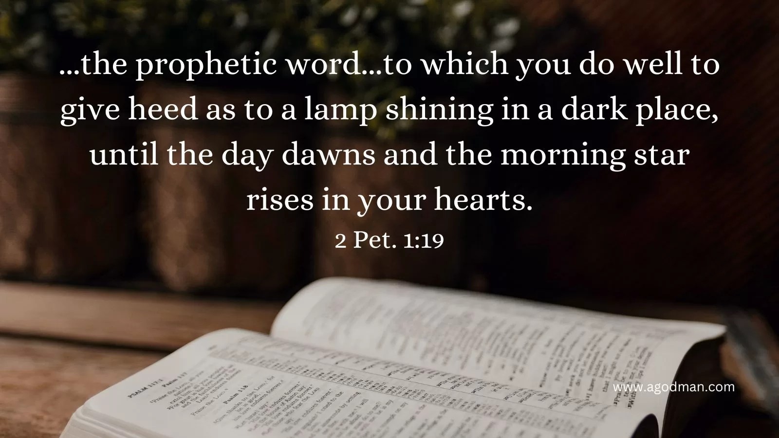 ...the prophetic word...to which you do well to give heed as to a lamp shining in a dark place, until the day dawns and the morning star rises in your hearts. 2 Pet. 1:19