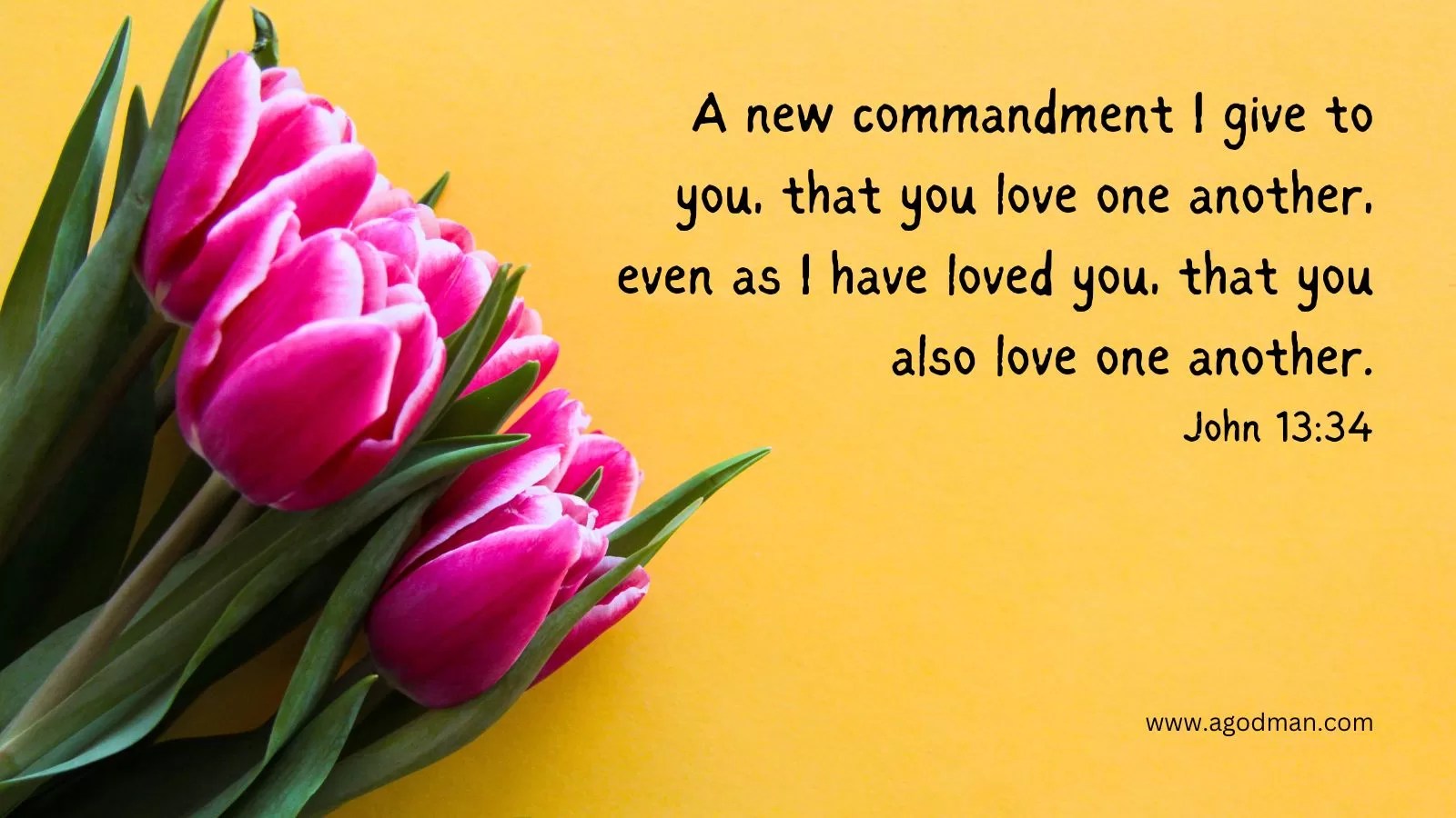 A new commandment I give to you, that you love one another, even as I have loved you, that you also love one another. John 13:34
