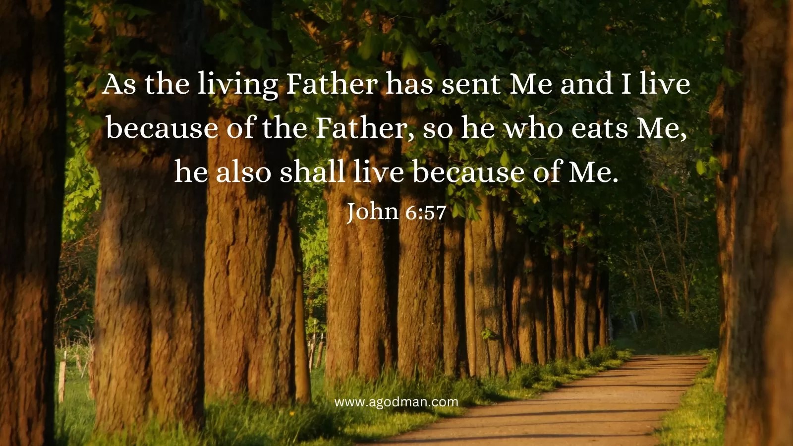 As the living Father has sent Me and I live because of the Father, so he who eats Me, he also shall live because of Me. John 6:57