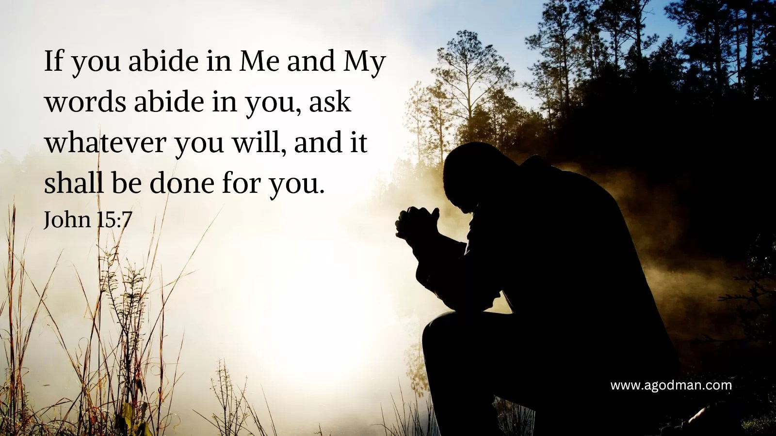 If you abide in Me and My words abide in you, ask whatever you will, and it shall be done for you. John 15:7