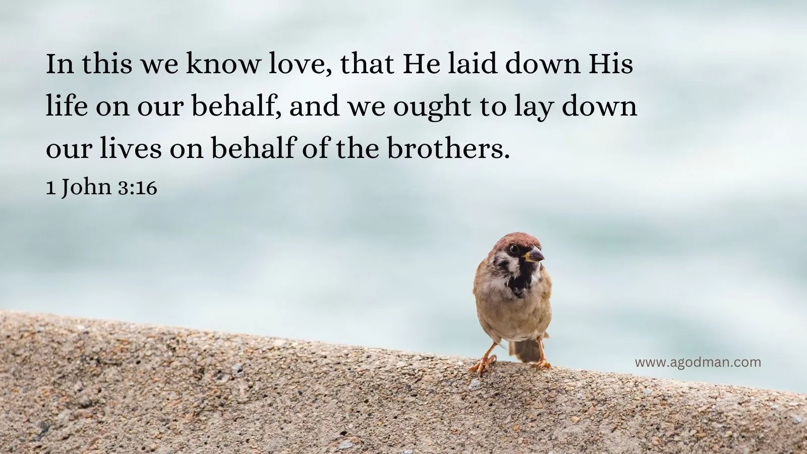 In this we know love, that He laid down His life on our behalf, and we ought to lay down our lives on behalf of the brothers. 1 John 3:16