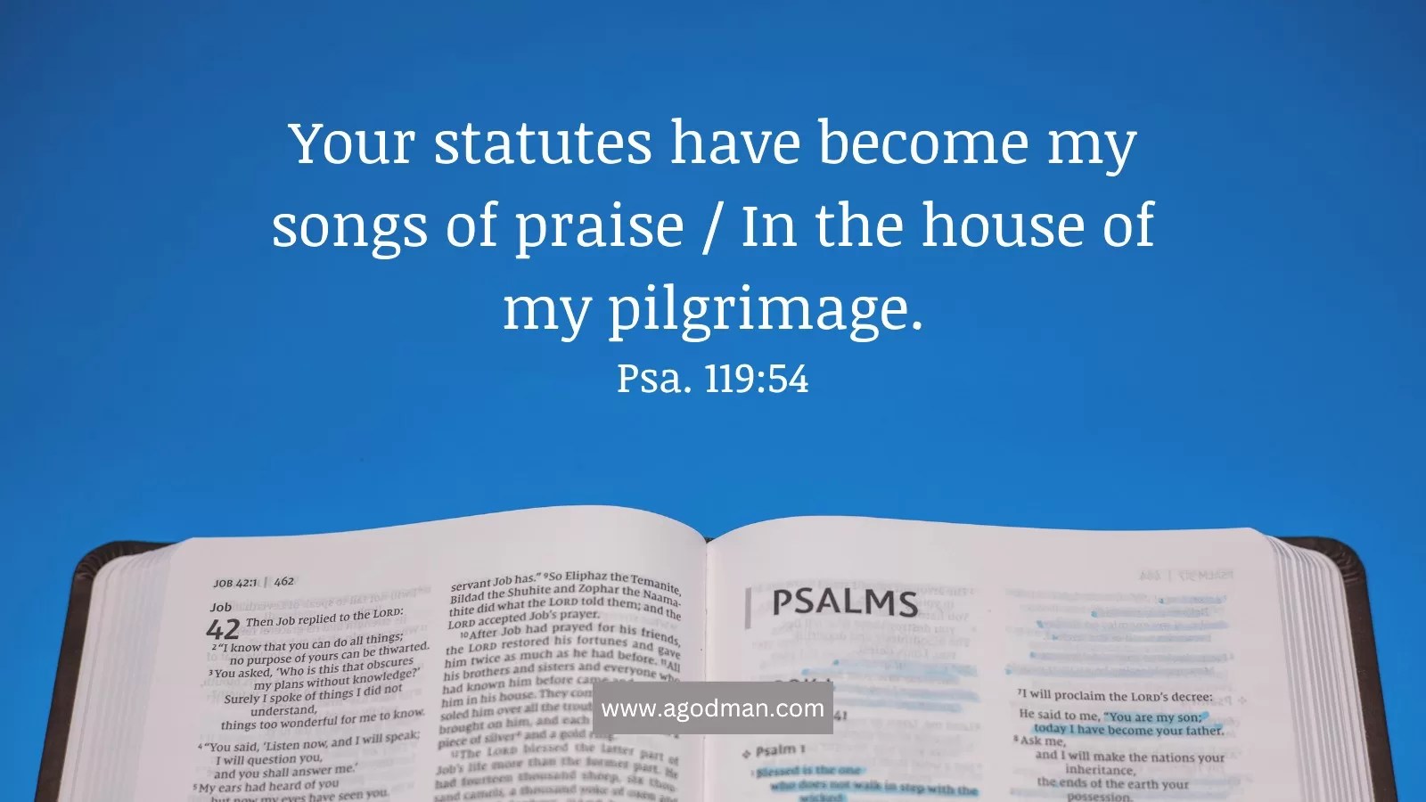 Your statutes have become my songs of praise / In the house of my pilgrimage. Psa. 119:54