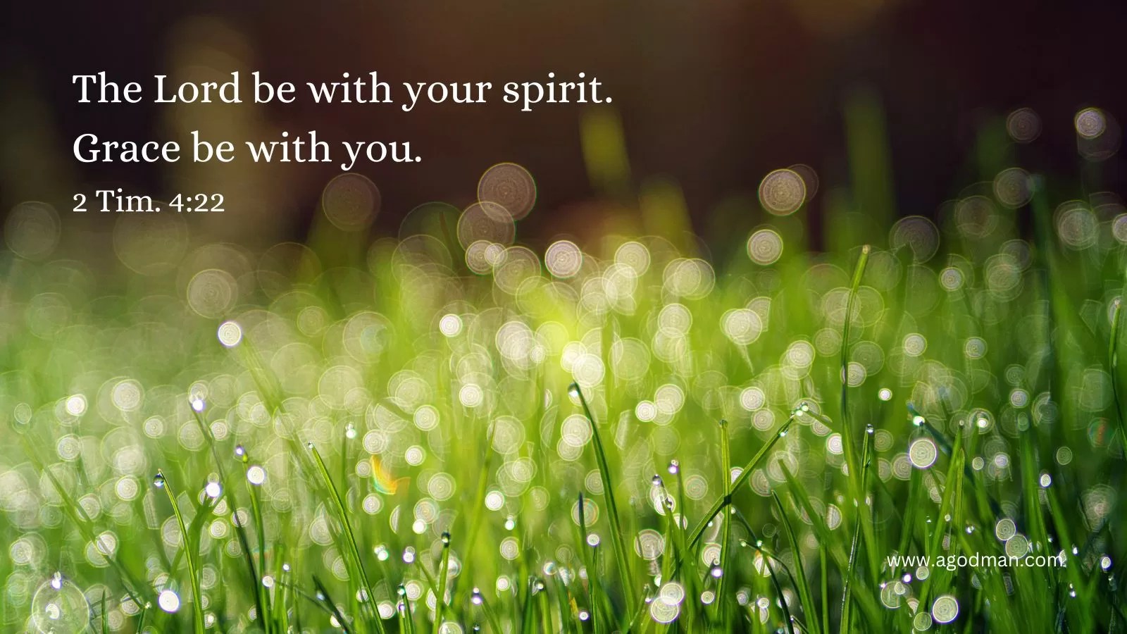 The Lord be with your spirit. Grace be with you. 2 Tim. 4:22