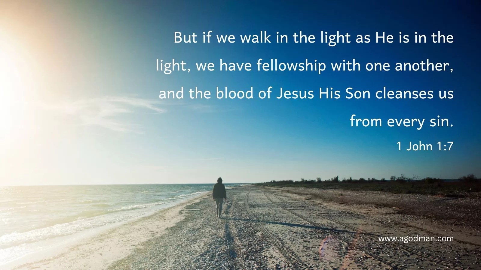 But if we walk in the light as He is in the light, we have fellowship with one another, and the blood of Jesus His Son cleanses us from every sin. 1 John 1:7