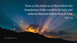 Even as He chose us in Him before the foundation of the world to be holy and without blemish before Him in love. Eph. 1:4