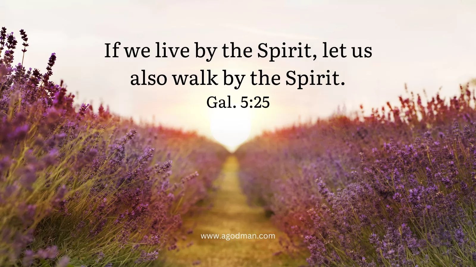If we live by the Spirit, let us also walk by the Spirit. Gal. 5:25