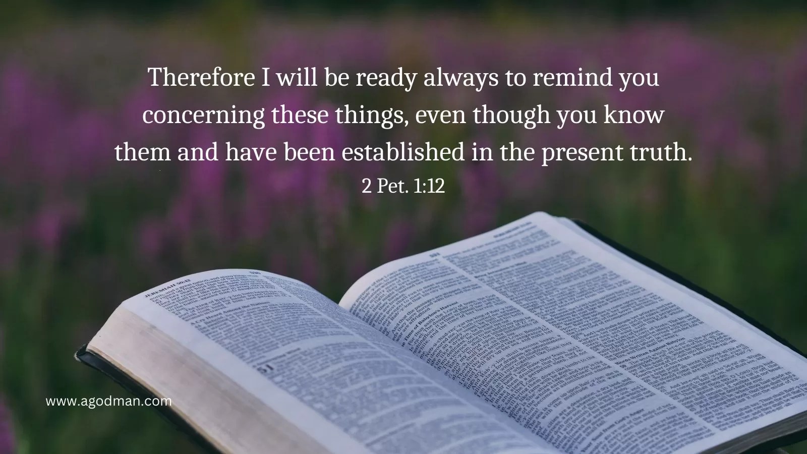 Therefore I will be ready always to remind you concerning these things, even though you know them and have been established in the present truth. 2 Pet. 1:12