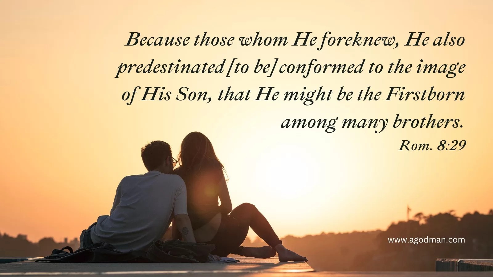Because those whom He foreknew, He also predestinated [to be] conformed to the image of His Son, that He might be the Firstborn among many brothers. Rom. 8:29