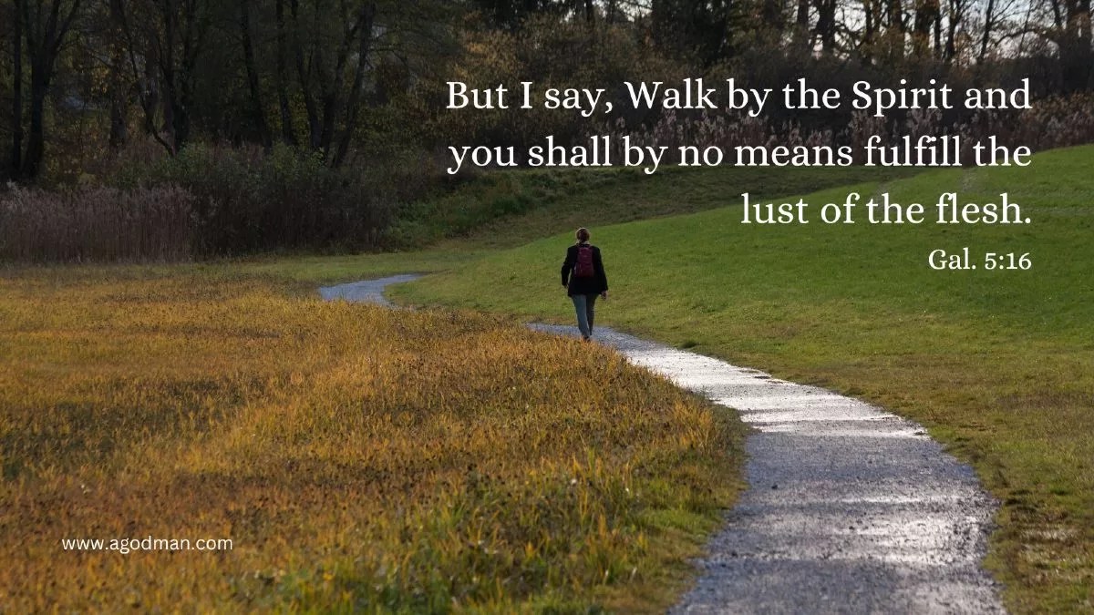 But I say, Walk by the Spirit and you shall by no means fulfill the lust of the flesh. Gal. 5:16