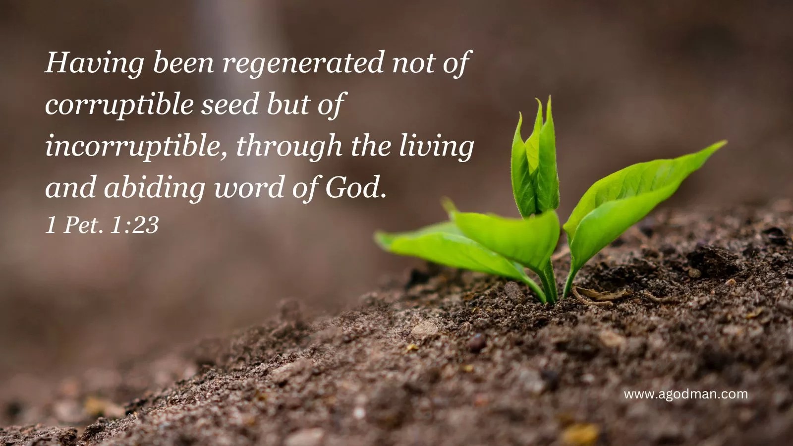 Having been regenerated not of corruptible seed but of incorruptible, through the living and abiding word of God. 1 Pet. 1:23