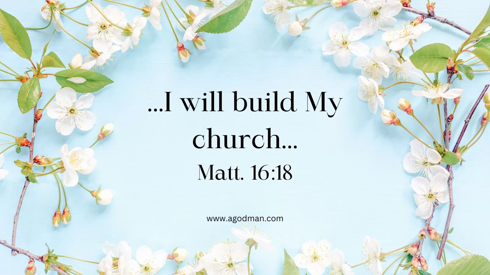 ...I will build My church... Matt. 16:18