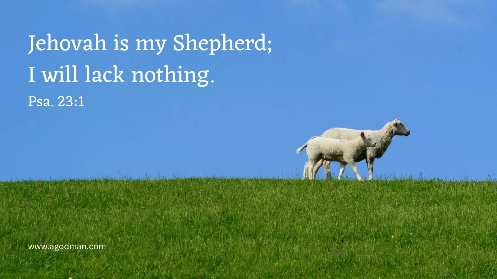 Jehovah is my Shepherd; I will lack nothing. Psa. 23:1