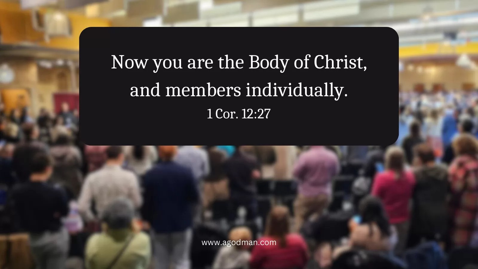 Now you are the Body of Christ, and members individually. 1 Cor. 12:27