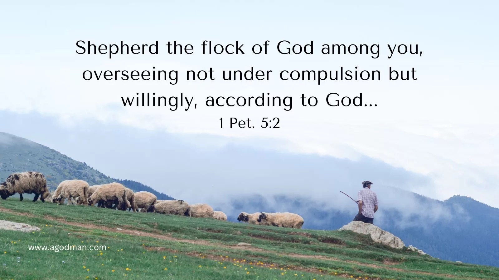 Shepherd the flock of God among you, overseeing not under compulsion but willingly, according to God... 1 Pet. 5:2