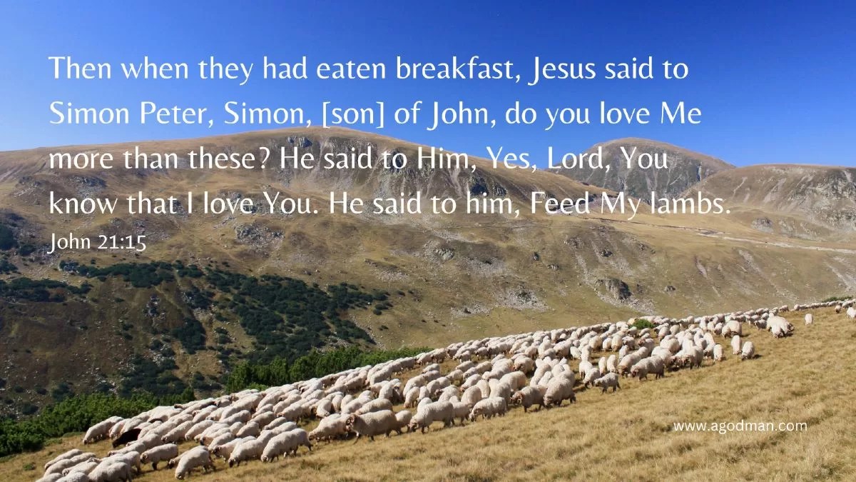 Then when they had eaten breakfast, Jesus said to Simon Peter, Simon, [son] of John, do you love Me more than these? He said to Him, Yes, Lord, You know that I love You. He said to him, Feed My lambs. John 21:15