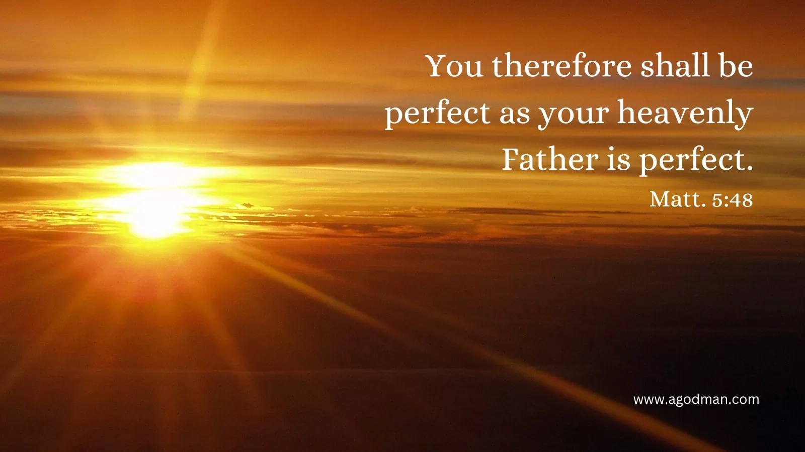 You therefore shall be perfect as your heavenly Father is perfect. Matt. 5:48