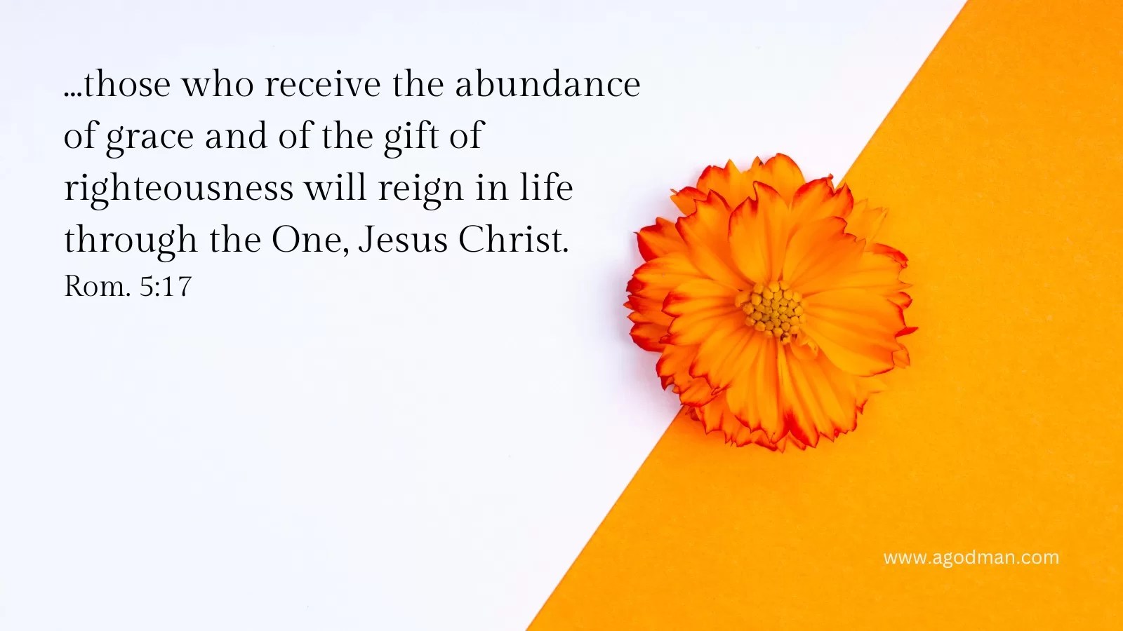 ...those who receive the abundance of grace and of the gift of righteousness will reign in life through the One, Jesus Christ. Rom. 5:17