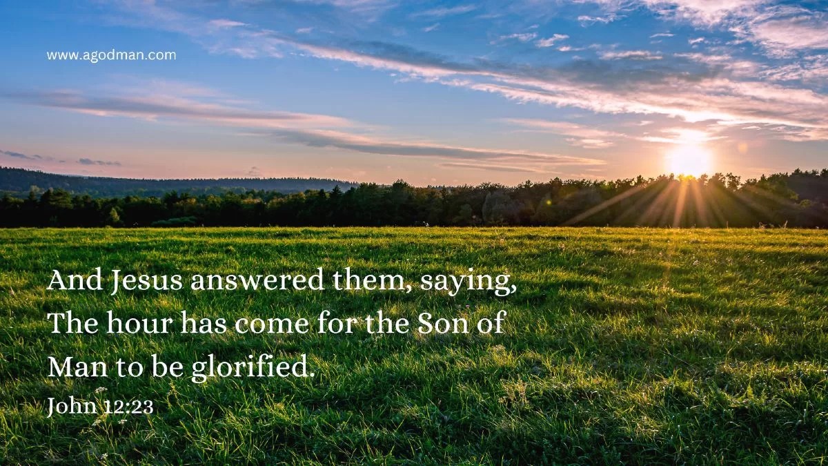 And Jesus answered them, saying, The hour has come for the Son of Man to be glorified. John 12:23