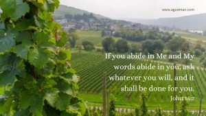 If you abide in Me and My words abide in you, ask whatever you will, and it shall be done for you. John 15:7