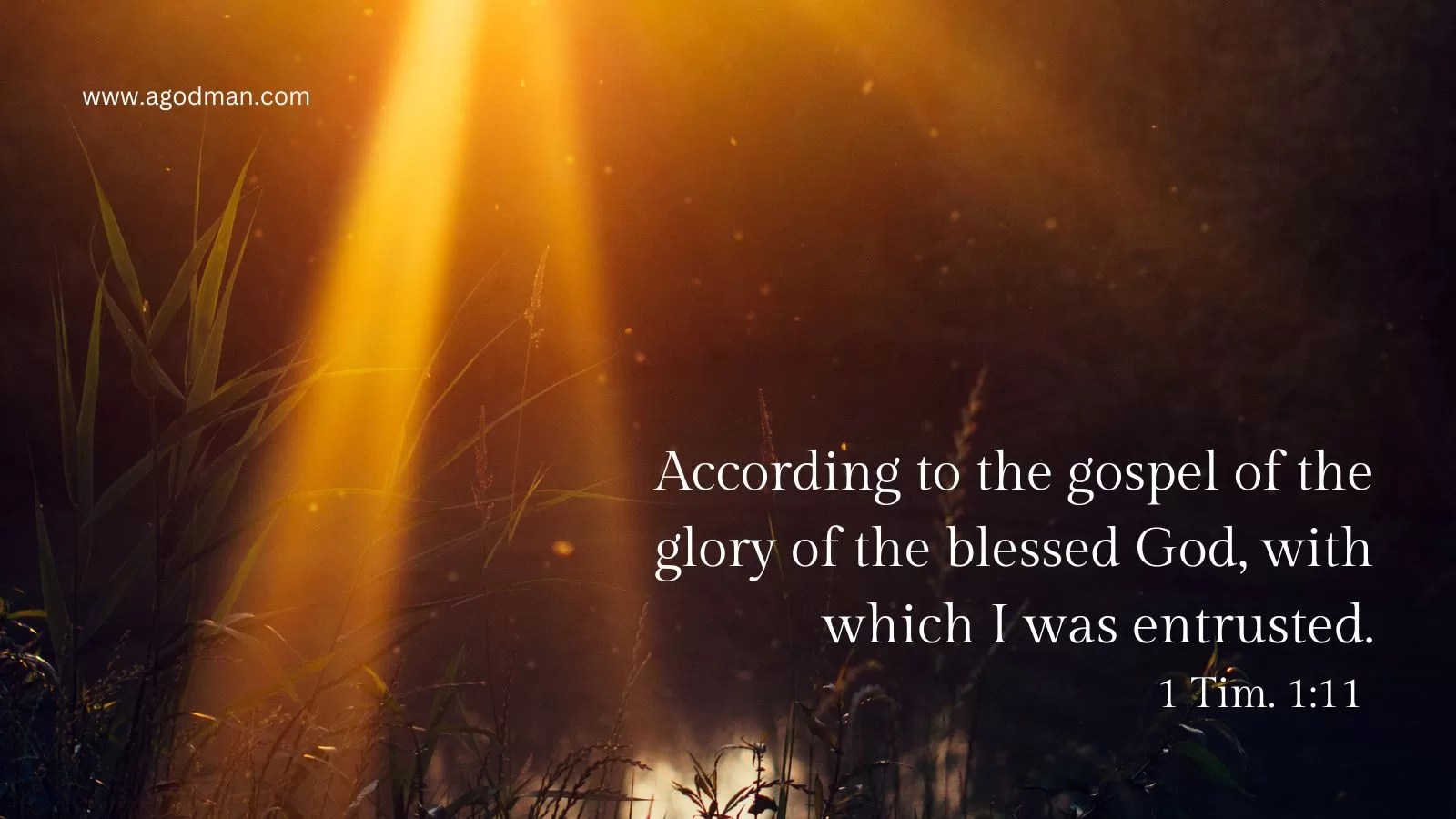 According to the gospel of the glory of the blessed God, with which I was entrusted. 1 Tim. 1:11