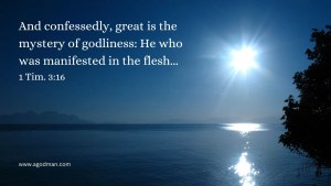 And confessedly, great is the mystery of godliness: He who was manifested in the flesh... 1 Tim. 3:16