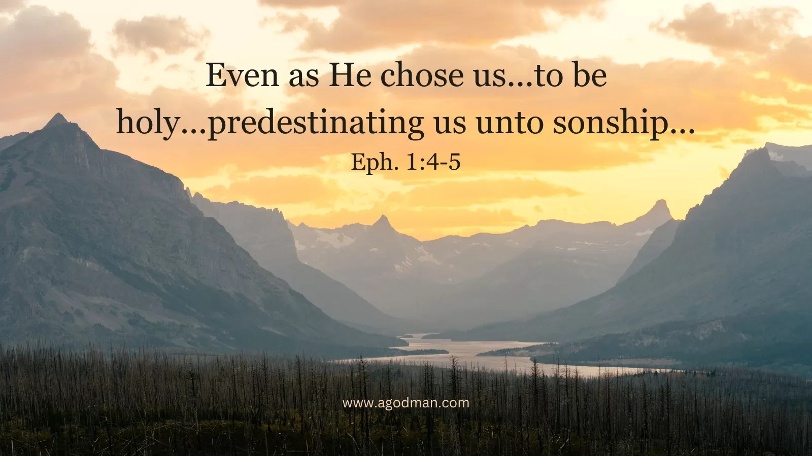 Even as He chose us...to be holy...predestinating us unto sonship... Eph. 1:4-5
