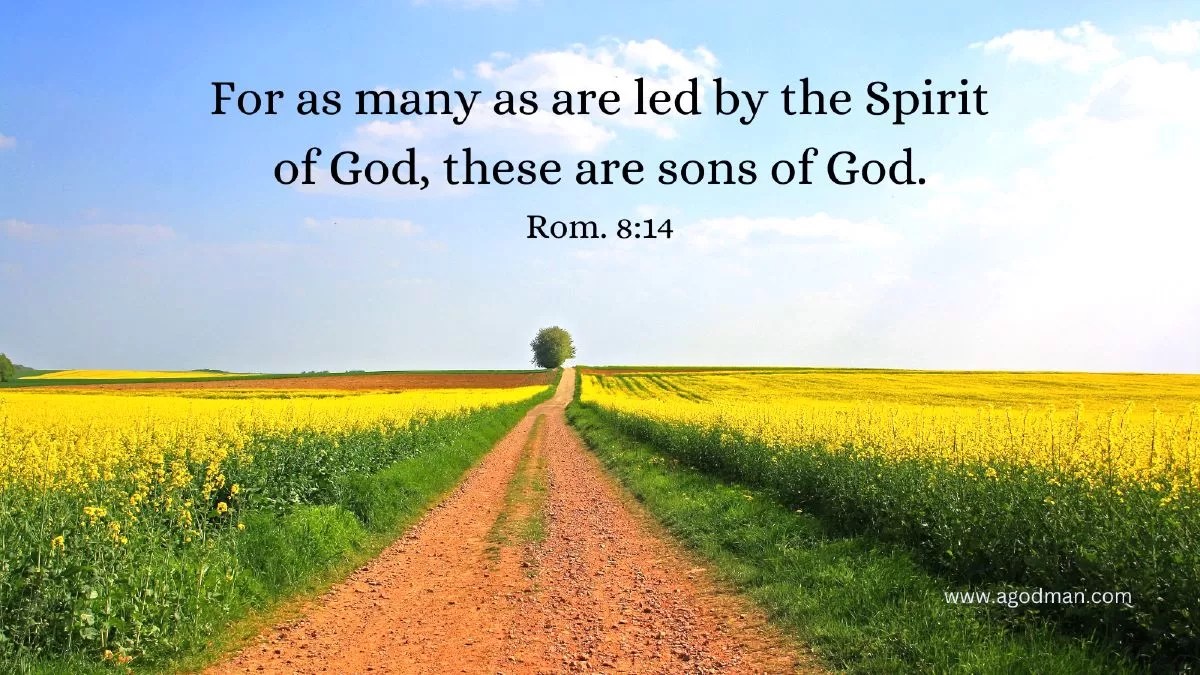 For as many as are led by the Spirit of God, these are sons of God. Rom. 8:14