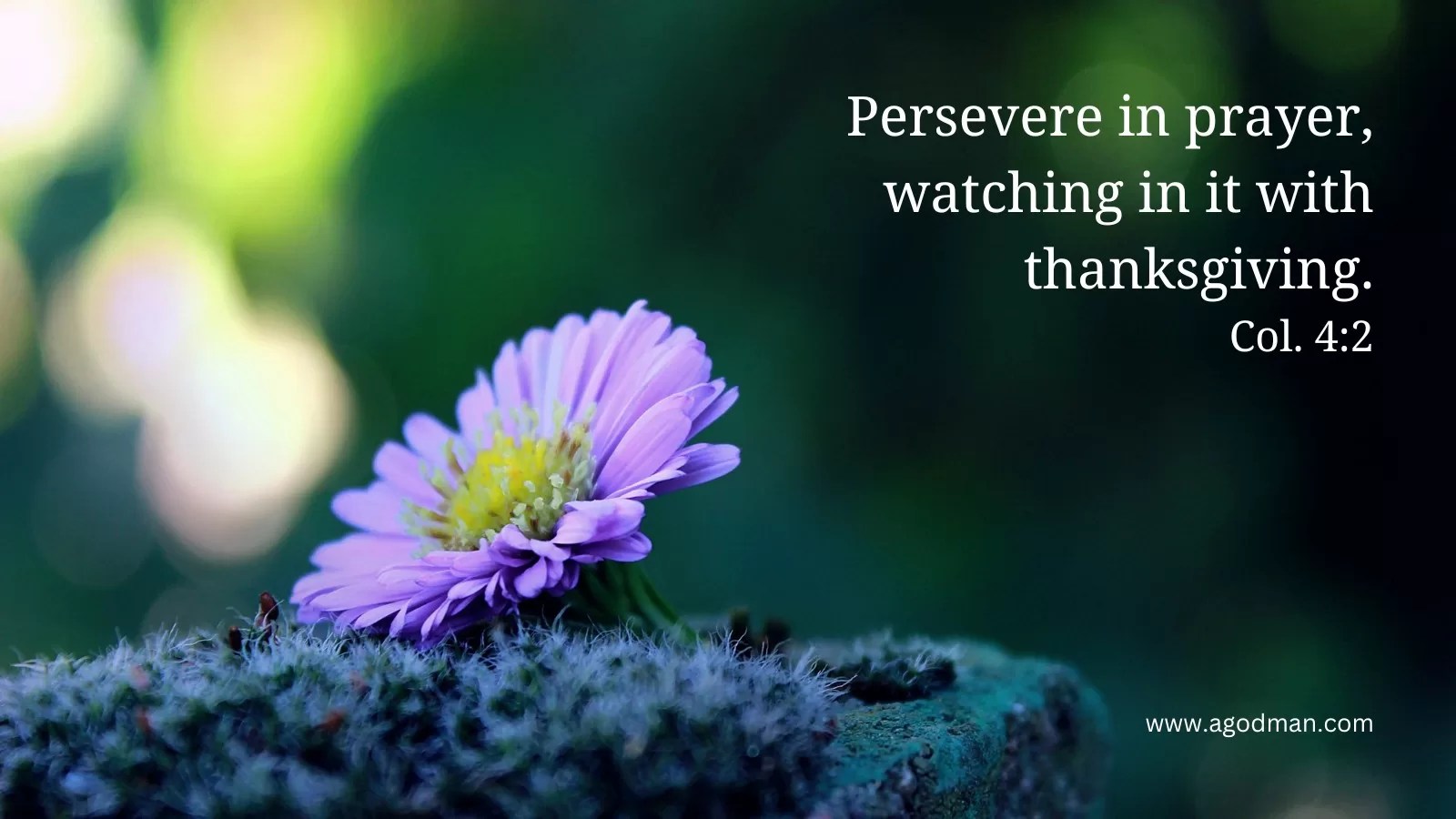 Persevere in prayer, watching in it with thanksgiving. Col. 4:2