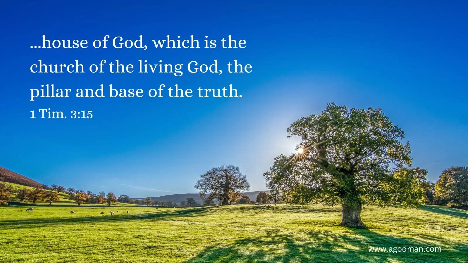 ...house of God, which is the church of the living God, the pillar and base of the truth. 1 Tim. 3:15