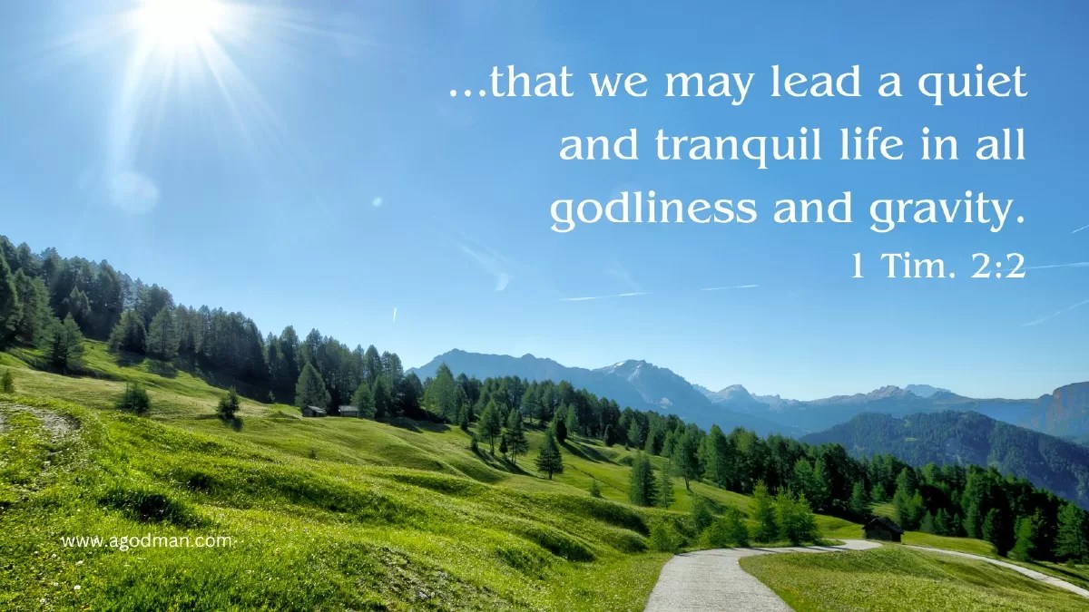 ...that we may lead a quiet and tranquil life in all godliness and gravity. 1 Tim. 2:2